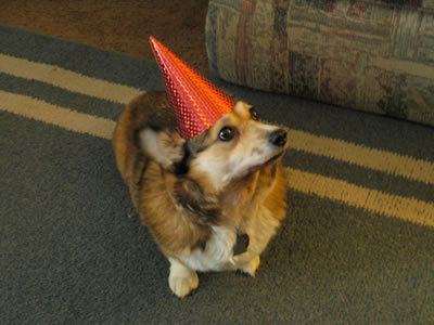 Abby says: "Nine years old, and they still make me wear this stupid hat."