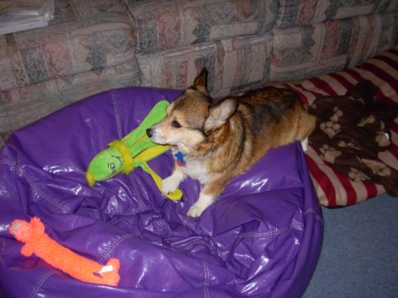 Abby gets a 10th birthday low five from her new octopus toy