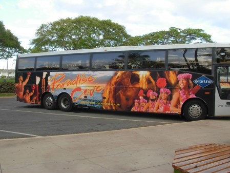 All aboard for Paradise Cove!