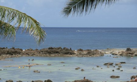 Shark's Cove: Just because we didn't see sharks, doesn't mean you won't.